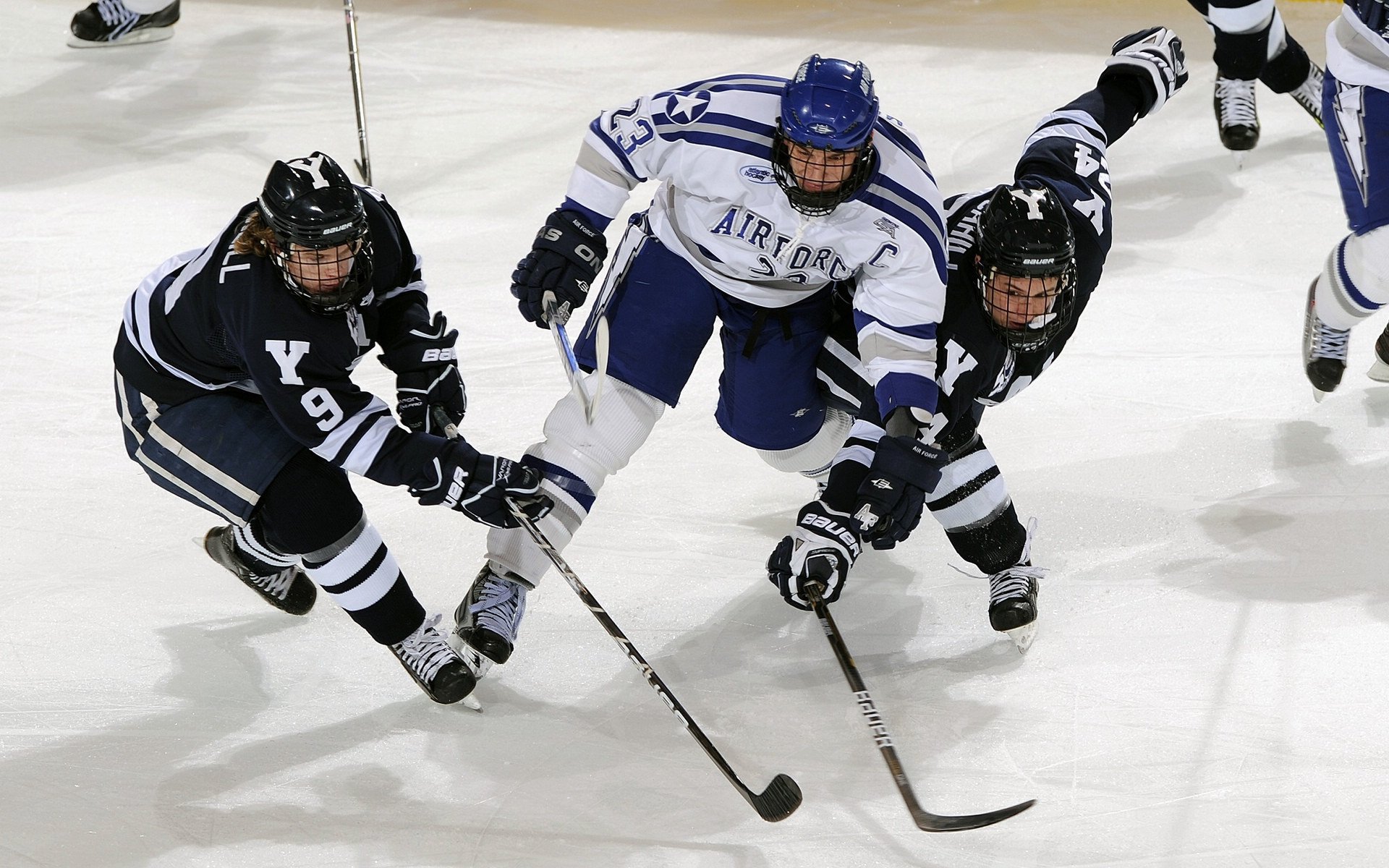 赛事期间的观众礼仪指南,赛场观众席